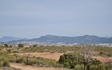 Property slide 24