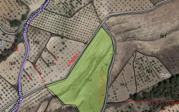 Property slide 3