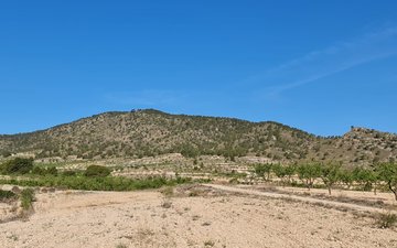 Property slide 27