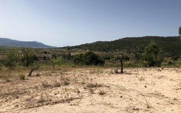 Property slide 22