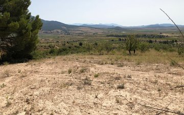 Property slide 15