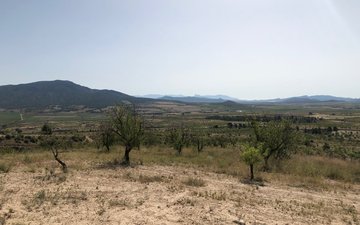 Property slide 24