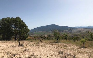 Property slide 18