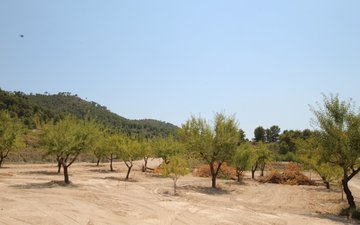 Property slide 34