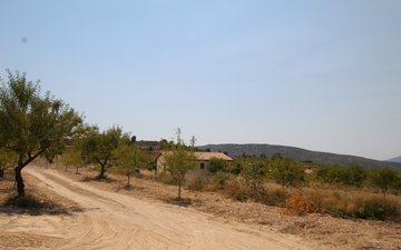 Property slide 35