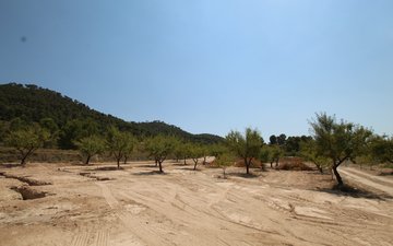 Property slide 31