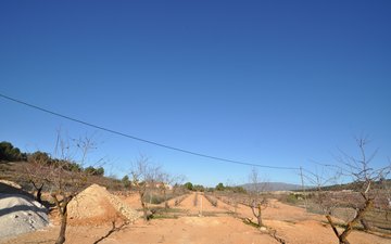 Property slide 41