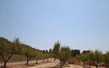Property slide 33