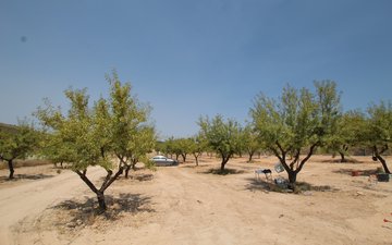 Property slide 29