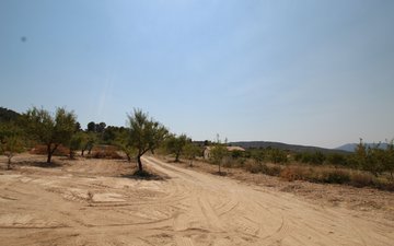 Property slide 8