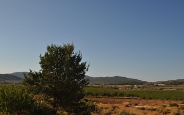 Property slide 34