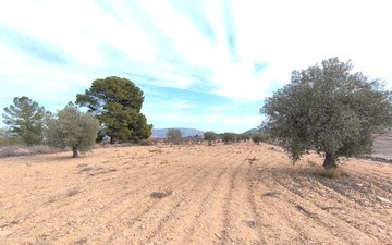 Property slide 21