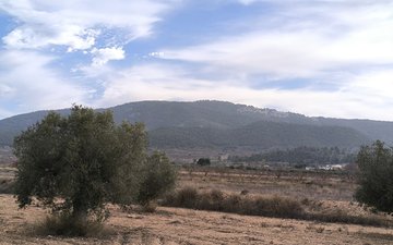 Property slide 16