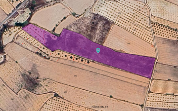 Property slide 3