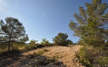 Property slide 8