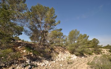 Property slide 9