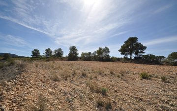 Property slide 15