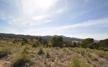 Property slide 23