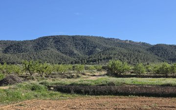 Property slide 1