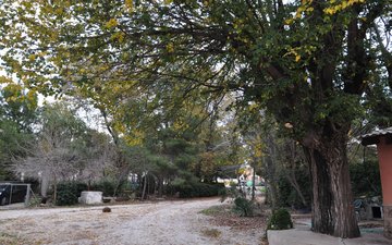 Property slide 15