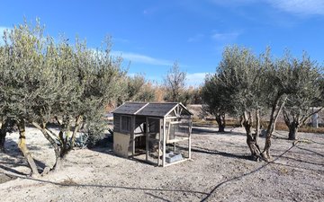 Property slide 47