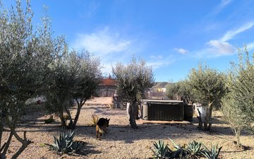 Property slide 48
