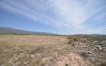 Property slide 15