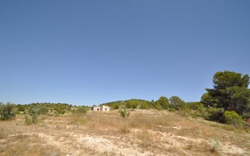 Property slide 9