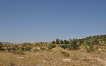 Property slide 4