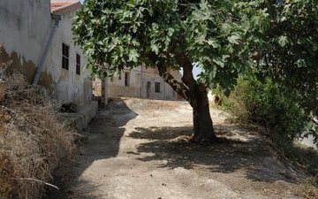 Property slide 21