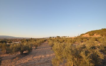 Property slide 5