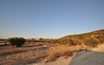 Property slide 4
