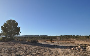 Property slide 10
