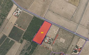 Property slide 4
