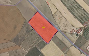 Property slide 4