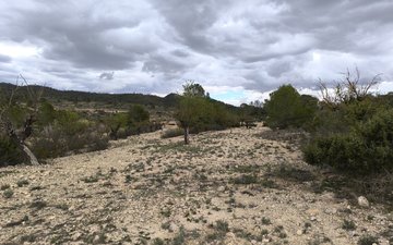 Property slide 11