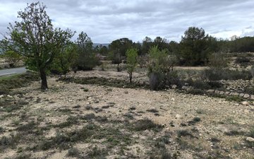 Property slide 12