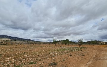 Property slide 25