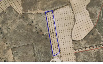 Property slide 3