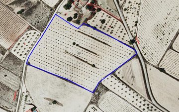 Property slide 6