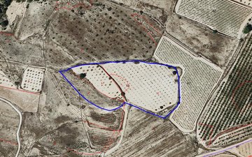 Property slide 5