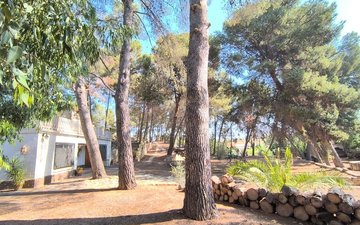 Property slide 42
