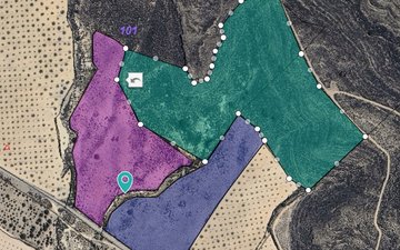 Property slide 8