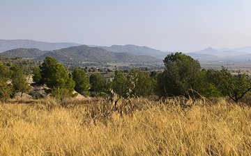Property slide 49