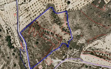 Property slide 4