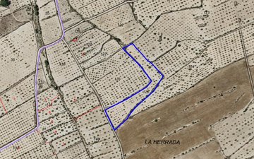 Property slide 5