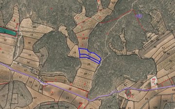 Property slide 6