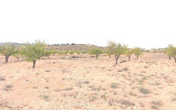 Property slide 4