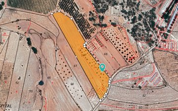Property slide 4