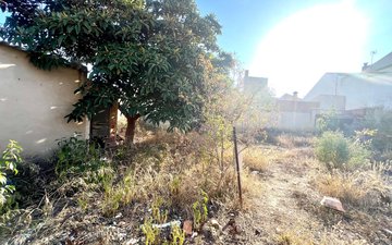 Property slide 27